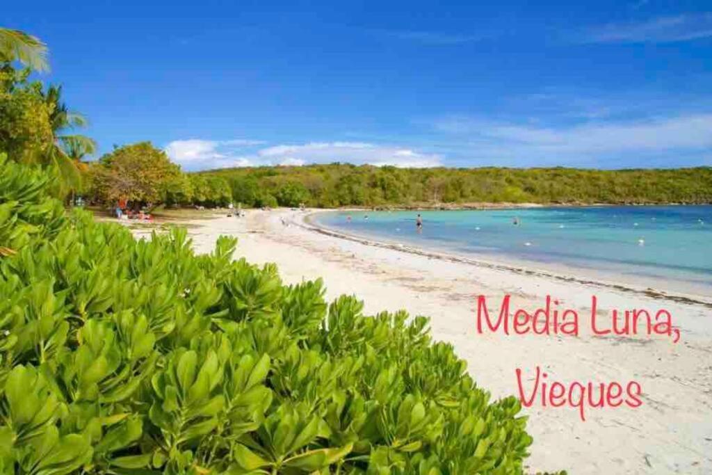 Ocean & Mountains View, Marina, Ferry, Vista Mar, Costa Esmeralda Ceiba Exteriér fotografie